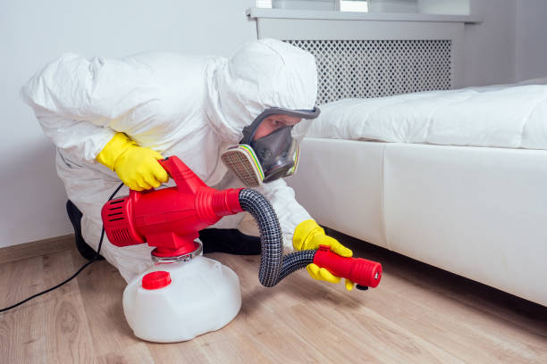 Best Bed Bug Extermination  in Whitesboro, NJ